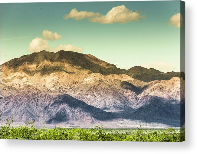 Top Artist Acrylic Print featuring the photograph Landscape Joshua Tree 7370 by Amyn Nasser