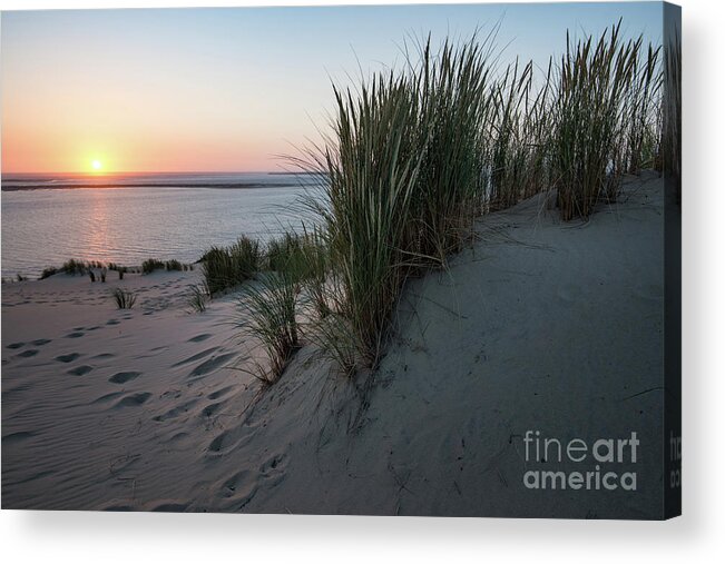 Natural Environment Acrylic Print featuring the photograph Last Sunlight For Today by Hannes Cmarits