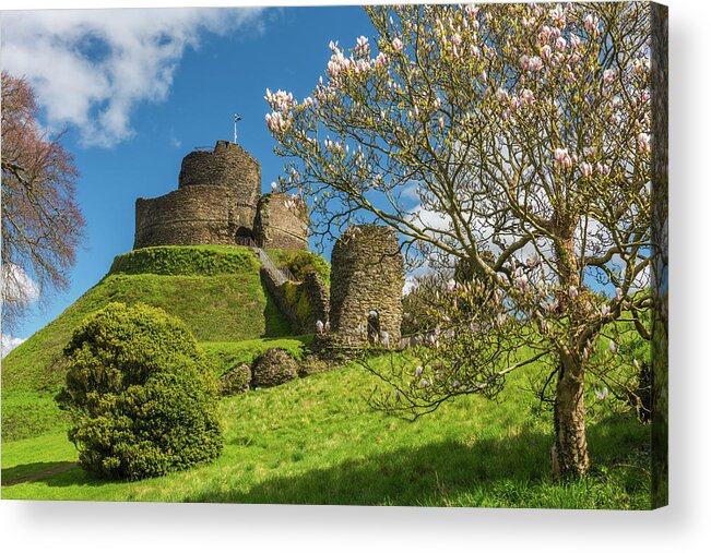 Cornwall Acrylic Print featuring the photograph Launceston Castle, Cornwall by David Ross