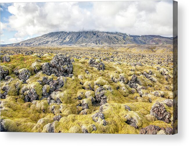 David Letts Acrylic Print featuring the photograph Lava Fields of Iceland by David Letts