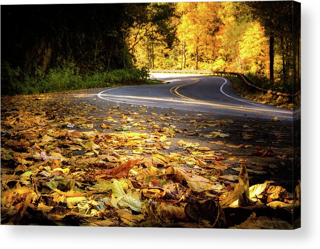 Dry Falls Acrylic Print featuring the photograph Leaves Along The Road by Greg and Chrystal Mimbs