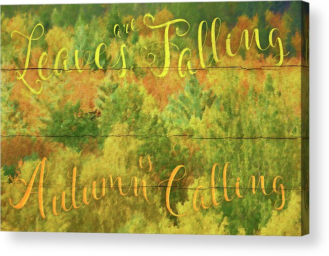 Leaves Are Falling Acrylic Print featuring the photograph Leaves Are Falling by Cora Niele