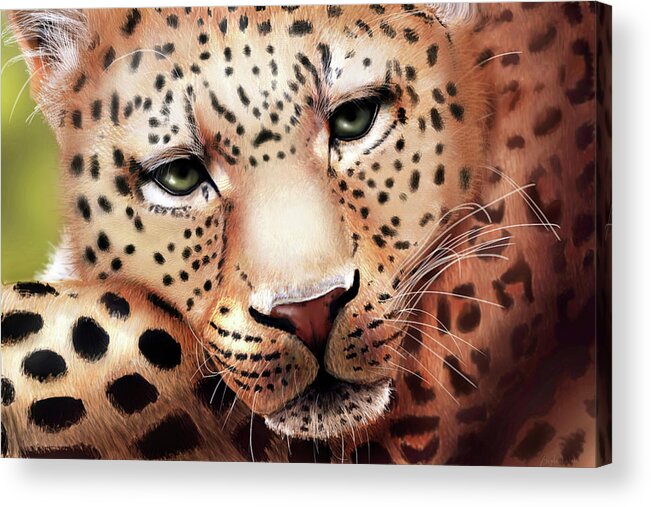 Leopard Acrylic Print featuring the digital art Leopard Resting by Angela Murdock
