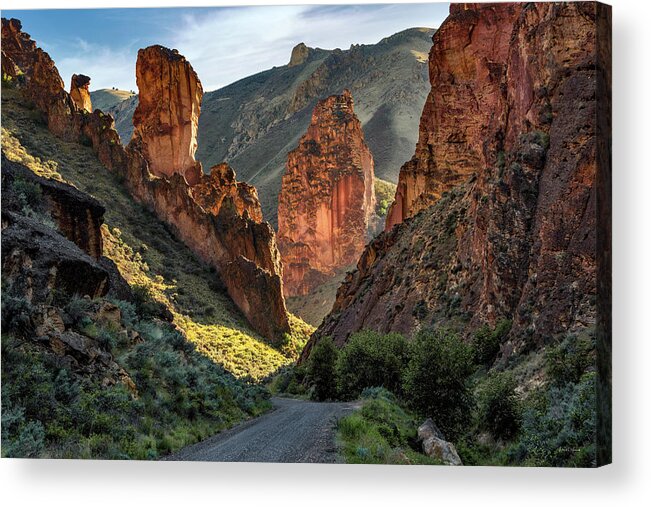 Basalt Acrylic Print featuring the photograph Leslie Gulch Road, Oregon by Leland D Howard