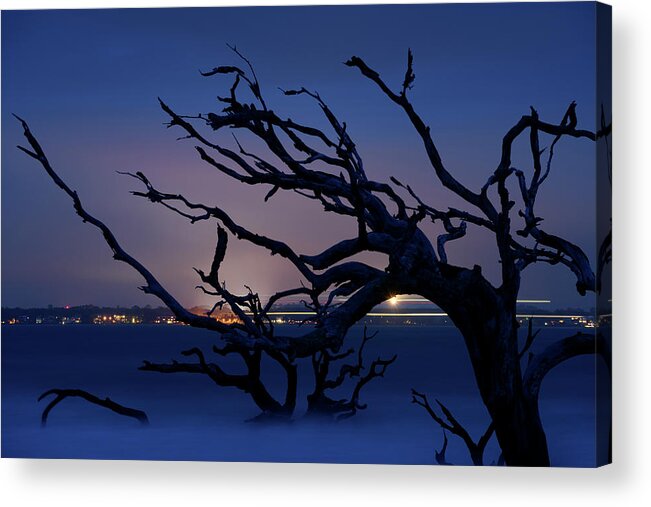 Driftwood Beach Acrylic Print featuring the photograph Life Beyond the Graveyard of Trees by James Covello