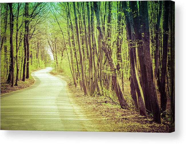 Europe Acrylic Print featuring the photograph Long and Winding Road by Tito Slack
