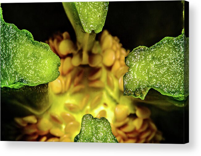 Macro Acrylic Print featuring the photograph Looking into a Pepper by John Bauer