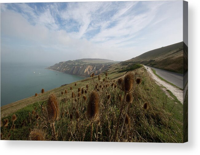 Tranquility Acrylic Print featuring the photograph Looking Towards Alum Bay by Barbara Close