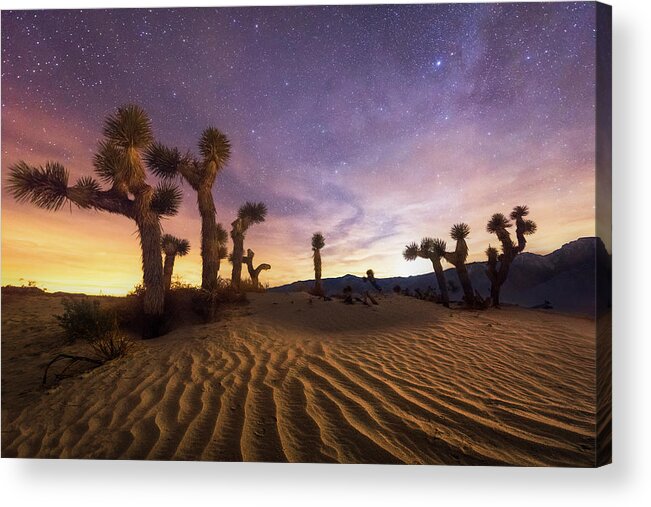 Desert Acrylic Print featuring the photograph Lost Souls by Chris Moore