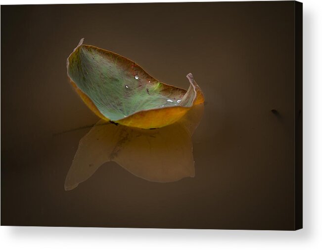  Acrylic Print featuring the photograph Lotus Leaf by Twee Liang Wong