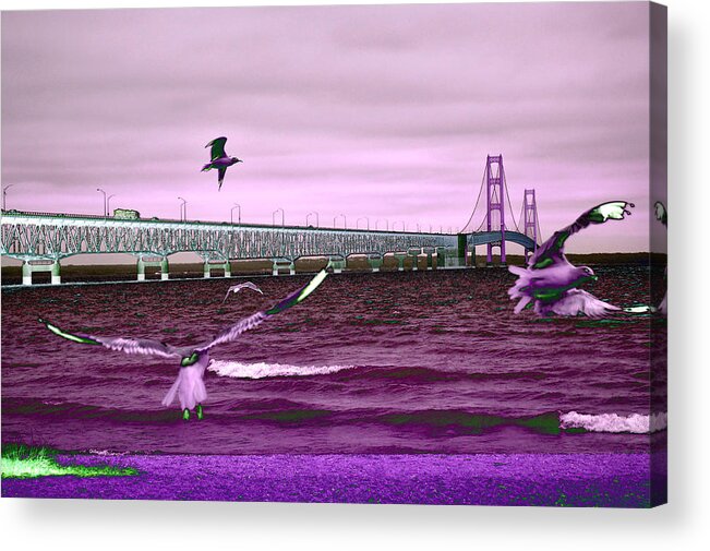 Mackinac Bridge Acrylic Print featuring the photograph Mackinac Bridge Seagulls by Tom Kelly