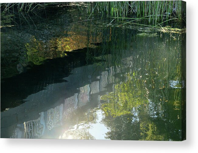 Pond Acrylic Print featuring the photograph Magic Light by Donna Blackhall