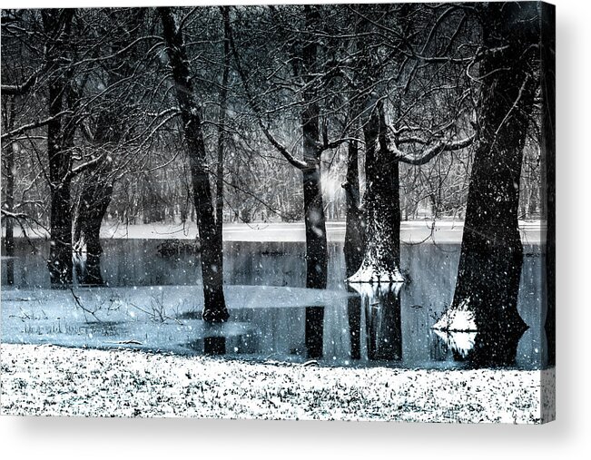 Snow Photo Acrylic Print featuring the photograph Magical Snow Forest by Sandra J's