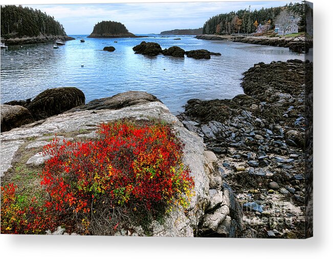 Maine Acrylic Print featuring the photograph Maine Coast Autumn Colors by Olivier Le Queinec