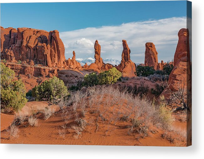 Jeff Foott Acrylic Print featuring the photograph Marching Men Formations by Jeff Foott