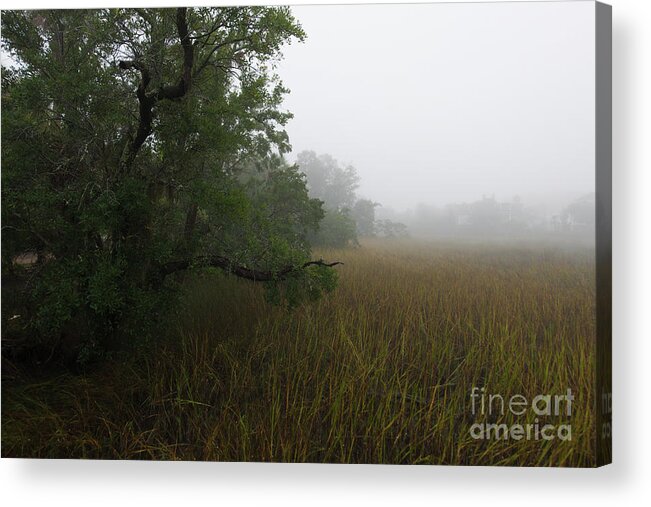Fog Acrylic Print featuring the photograph Marsh Fog - Rivertowne on the Wando by Dale Powell