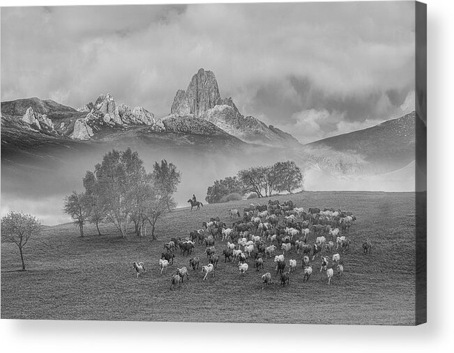 Landscape Acrylic Print featuring the photograph Mercedes Benz In Tianshan by Simoon