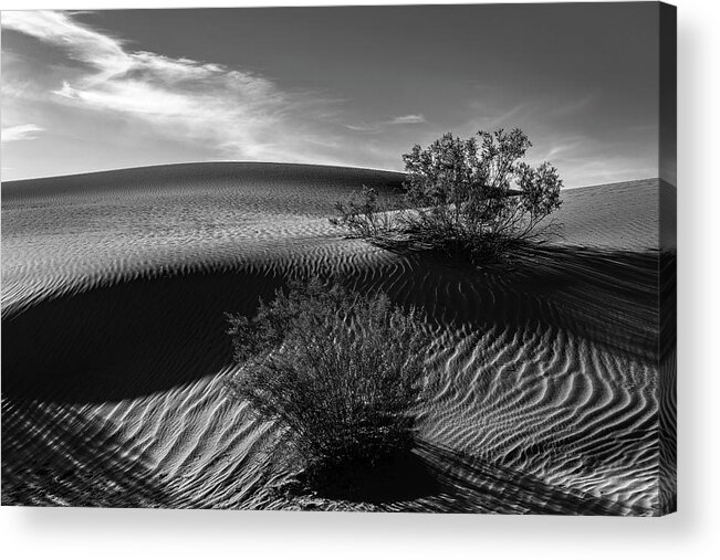 Mesquite Dunes Acrylic Print featuring the photograph Mesquite Flats Sand Dunes in Black and White by Don Hoekwater Photography