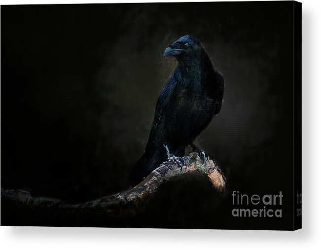 Crow Acrylic Print featuring the digital art Midnight Corvid by Jim Hatch