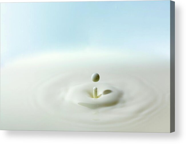 Milk Acrylic Print featuring the photograph Milk Drop by Mordolff
