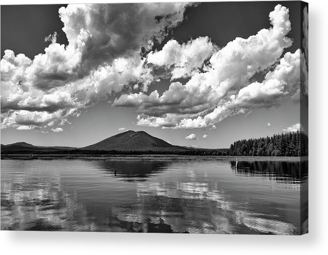 Black And White Acrylic Print featuring the photograph Mirror Finish by Steven Clark