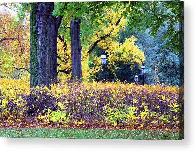 Autumn Acrylic Print featuring the photograph Missouri Botanical Garden by John Lautermilch