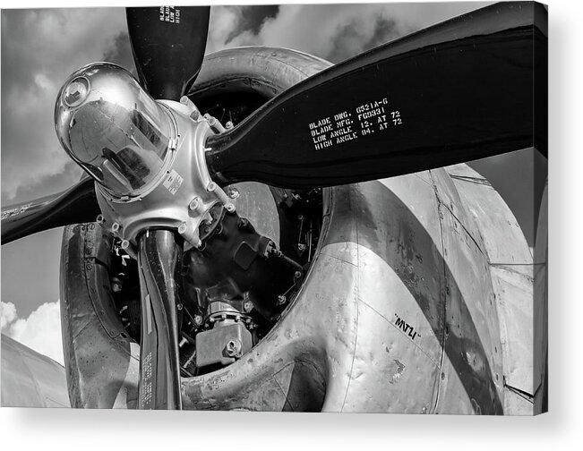 B29 Acrylic Print featuring the photograph Mitzi the Giant by Chris Buff