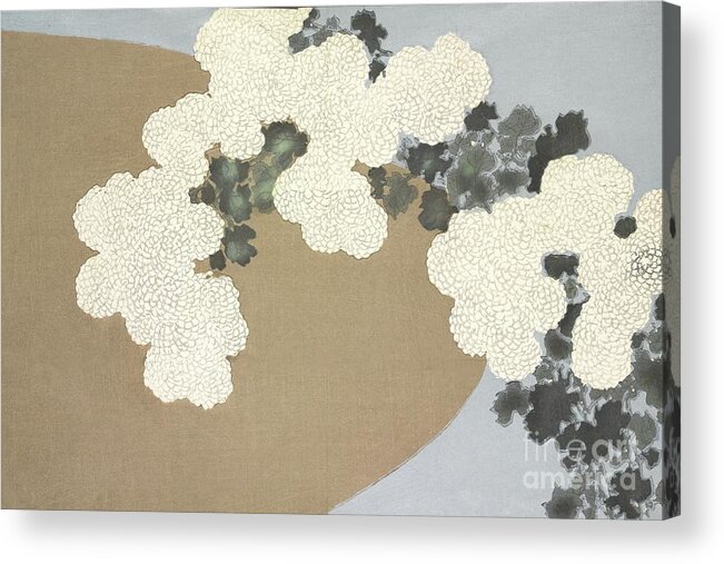 Japan Acrylic Print featuring the drawing Momoyo-gusa by Heritage Images