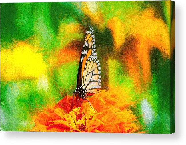Monarch Acrylic Print featuring the photograph Monarch Butterfly Classic Art by Don Northup