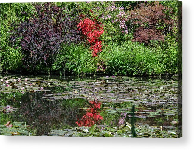 Claude Acrylic Print featuring the photograph Monet's Lily Pond in Springtime by Douglas Wielfaert