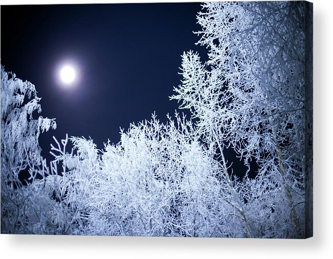 Snow Acrylic Print featuring the photograph Moonlight Shining Down On A Snowy by Vnosokin