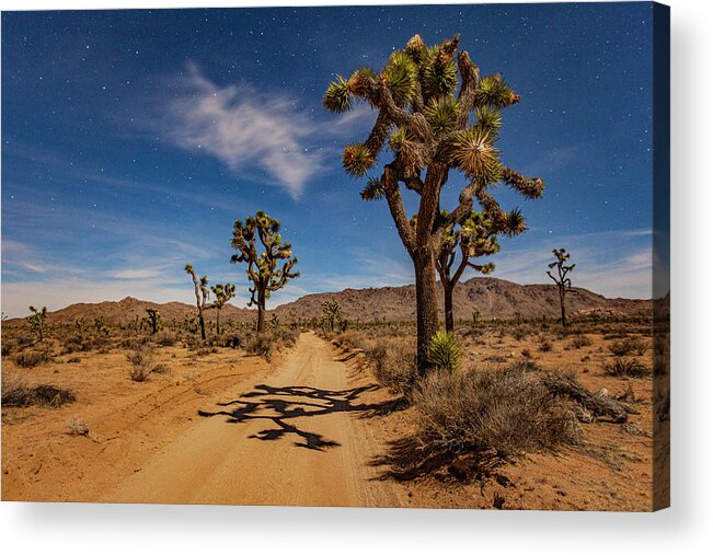 Alhann Acrylic Print featuring the photograph Moonlit Queen Valley Road by Al Hann