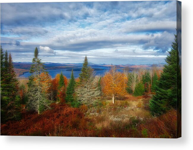 Moose Acrylic Print featuring the photograph Mooselookmeguntic Lake Fall Colors by Russel Considine