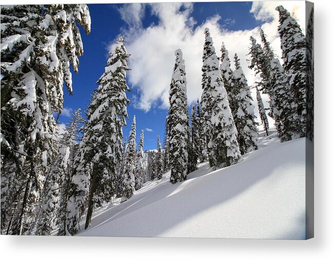 Rocky Mountains Acrylic Print featuring the photograph Mores Creek Summit Record Snow Fall by Ed Riche