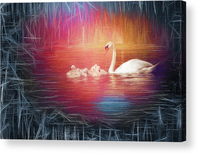 Swan Acrylic Print featuring the photograph Morning Bath 2 by Jaroslav Buna