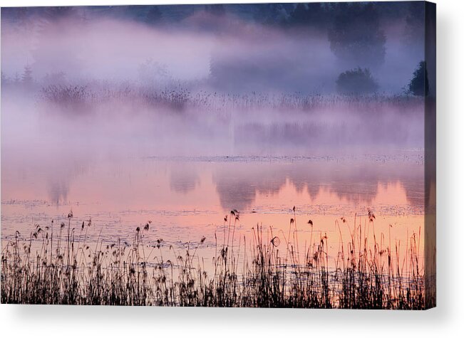 Water's Edge Acrylic Print featuring the photograph Morning Fog At A Bavarian Lake by Wingmar