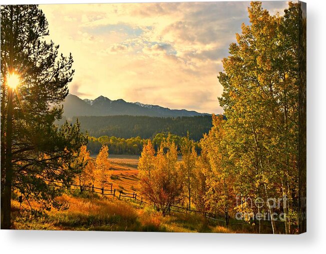 Fall Colors Acrylic Print featuring the photograph Morning Light by Dorrene BrownButterfield