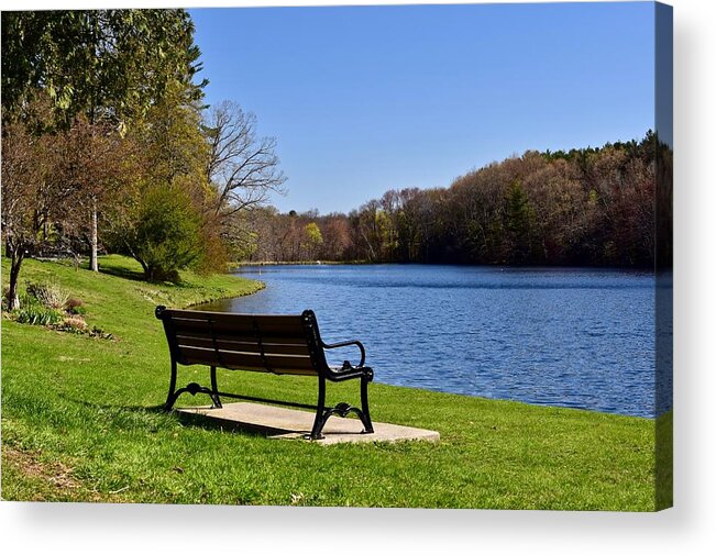 Landscape Acrylic Print featuring the photograph Morning light in Dean Park by Monika Salvan