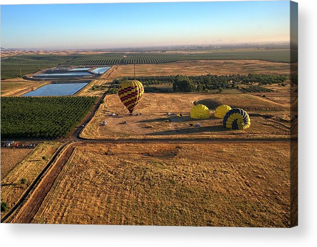 Napa Acrylic Print featuring the photograph Morning with balloons by Lora Lee Chapman