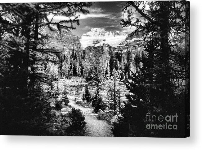 Fine Art Black And White Acrylic Print featuring the photograph Mount Fay from Larch Valley Trail by Steve Ember