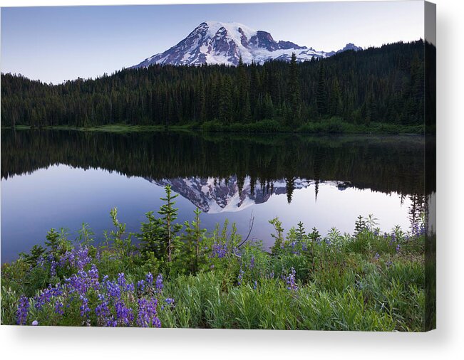 Tranquility Acrylic Print featuring the photograph Mount Rainier, A Snow-capped Peak In by Mint Images - Art Wolfe