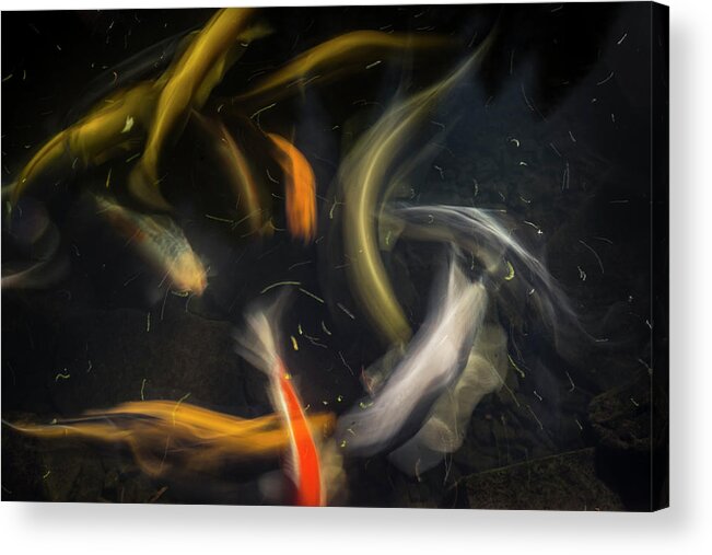 Movement 2 Acrylic Print featuring the photograph Movement 2 by Moises Levy