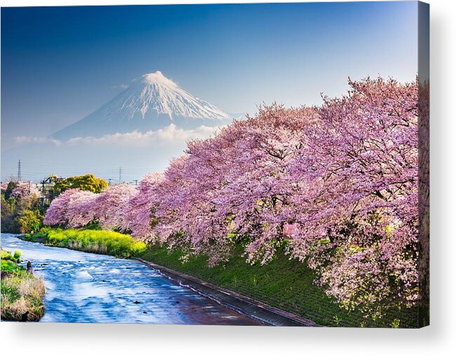 Landscape Acrylic Print featuring the photograph Mt. Fuji, Japan Spring Landscape by Sean Pavone
