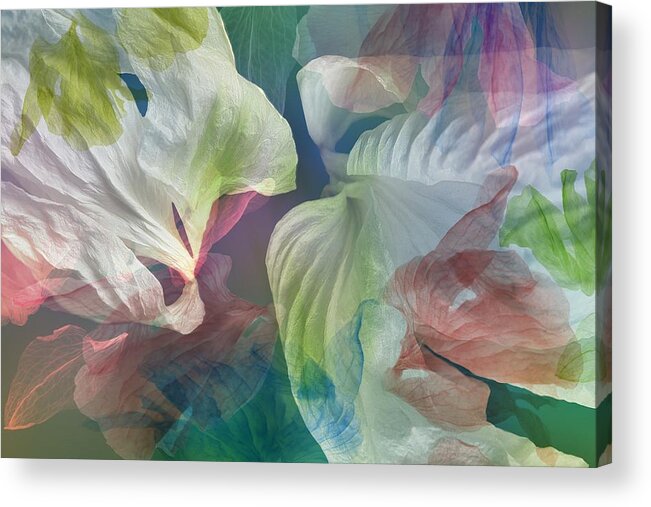 Surreal Acrylic Print featuring the photograph Mysterious Blooming by Ludmila Shumilova