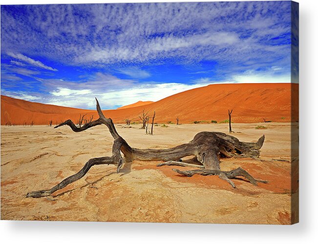 Tranquility Acrylic Print featuring the photograph Namibia - Namib Desert by Sergio Pessolano