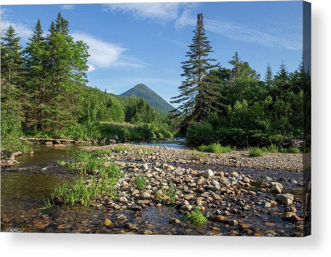 Nash Acrylic Print featuring the photograph Nash Stream Summer by White Mountain Images