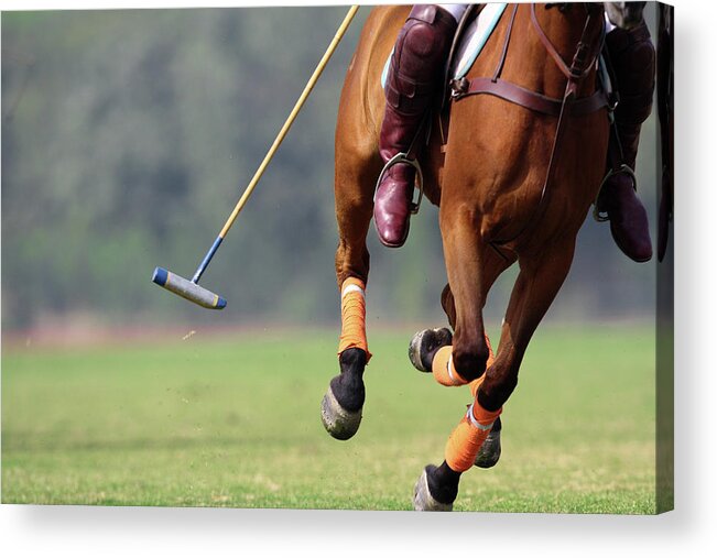 Horse Acrylic Print featuring the photograph National Polo Championship by Yasir Nisar