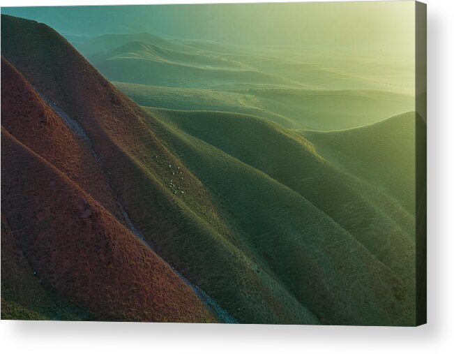 Hill Acrylic Print featuring the photograph Natural Grassland by Simoon