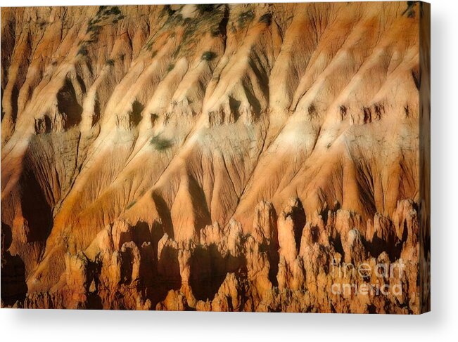 Bryce Canyon Acrylic Print featuring the photograph Nature For Your Eyes Bryce Canyon by Chuck Kuhn