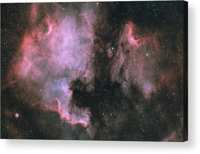 Universe Acrylic Print featuring the photograph North America And Pelican In Cygnus by Sismo Astroberry